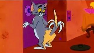 Tom And Jerry English Episodes - The Mouse from H.U.N.G.E.R - Cartoons For Kids