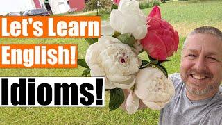 Lets Learn English Idioms on the Farm A Fun Way to Learn Idioms