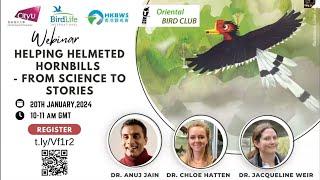 Helmeted Hornbill Webinar