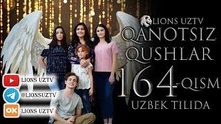 QANOTSIZ QUSHLAR 164 QISM TURK SERIALI UZBEK TILIDA  КАНОТСИЗ КУШЛАР 164 КИСМ УЗБЕК ТИЛИДА