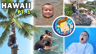 FV Family Trip Vlog in Hawaii Water Elevator in Grand Wailea Maui Part 1