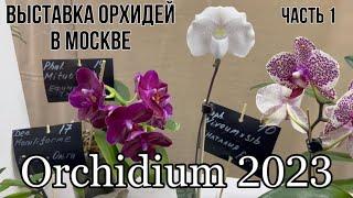 Orchidium 2023  Выставка орхидей в Москве  Часть 1