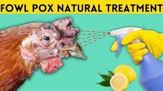CURE FOWL POX FACIAL WOUNDS IN CHICKENS BY USING THIS ORGANIC PRODUCTS