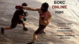 Тренировки по боксу. Online курс