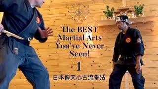 Part 1 - The BEST Martial Arts Youve Never Seen 日本傳天心古流拳法