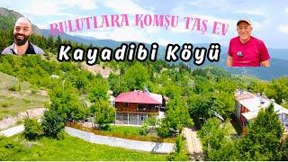 Artvin Kayadibi Köyüne Tersine Göç Eden Bir Ailenin mutlu hikayesi  YENİ BİR HAYAT