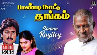 Elalam Kuyiley Song  Paandi Nattu Thangam  Ilaiyaraaja  Karthik  Nirosha  SPB  Uma Ramanan