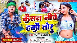 #Dharmendra_Dhamal का सबसे हिट सुपरहिट तहलका मचने बाला #song ll Kaisan Niche Hakau Tor