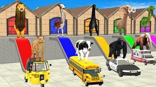Cow Elephant Lion Gorilla Tiger T-Rex Chosse the Right Door with LONG SLIDE 3D Vehicles Game
