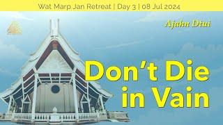 Don’t Die in Vain   Online Retreat Jul 2024  Day-3  Ajahn Dtui