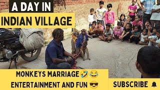 Monkey  marriage  entertainment & fun #uttarpradesh #agra #village #tajmahal #india #entertainment