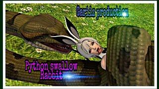 Python swallow Rabbit girlBlender vore animation​