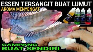 MENYENGAT ... ESSEN nila paling sangit Membuat Essen campuran lumut Essen mancing Nila