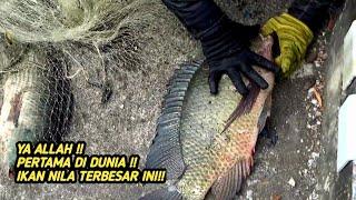 JALA IKAN DI SUNGAI BESAR HASILNYA MENGEJUTKAN