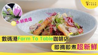 數碼港Farm To Table咖啡店　設水耕農場　即摘即煮超新鮮