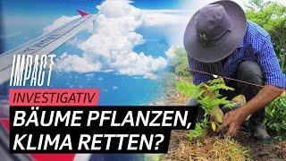 Flug kompensieren? – Bauern kritisieren Schweizer Umweltprojekt  Impact Investigativ  SRF