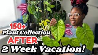 I Left My Plants For 2 WEEKS & This Is What Happened..