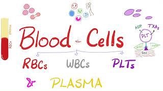 Plasma and Blood Cells RBCs WBCs and Platelets - Hematology and Physiology