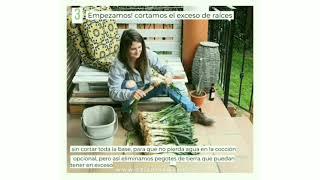 Pasos para cocinar calçots