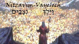 #51a Nitzavim & #52a Vayelech - Dvar Torah with deeper insights into the FUNDAMENTALS of our FAITH