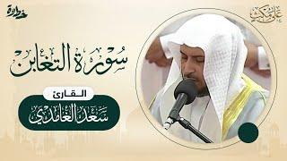 سورة التغابن  الشيخ سعد الغامدي