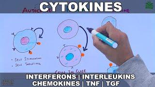Cytokines  Classification and Functions