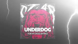 CZAR - FOR MY DOGSINTRO prod. by INTERKRIMEZ