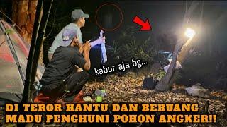 CAMPING HOROR DI SURUH UJI NYALI DI POHON ANGKER TERNYATA TEMPAT BERUANG MADU DAN DEDEMIT.....