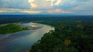 Sunset drone flight deep in Amazon Jungle Bolivia