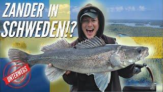 Zander Vlog So läufts richtig gut in Schweden