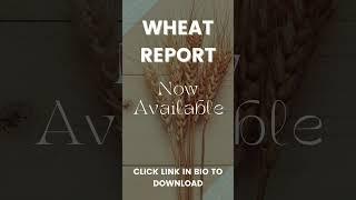 Wheat Report