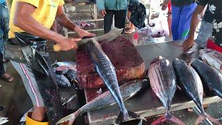 Never seen Long Fish Cutting  Amazing Fish Cutting Experts  4K Video