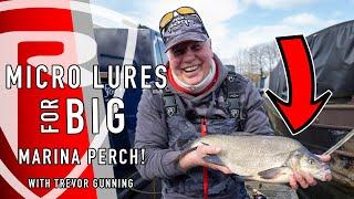 ***FOX RAGE TV*** MICRO LURES FOR BIG MARINA PERCH