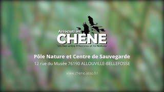Association CHENE  un lien entre lHomme et la Nature - Normandie