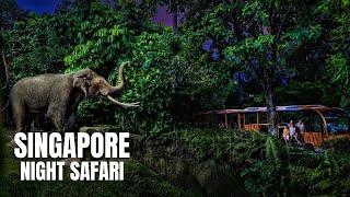 Night Safari Singapore Walking Tour 4K HDR