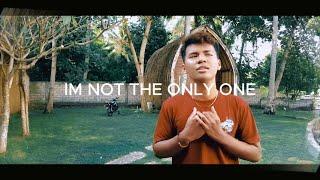 IM NOT THE ONLY ONE - INDRA  COVER 