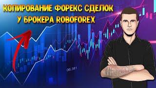 Копирование форекс сделок RoboForex. Способы заработка в интернете