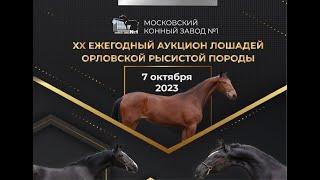 ХХ Ежегодный аукцион лошадей Орловской Российской породы