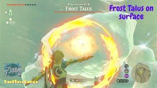 Frost Talus on Surface Location  Zelda Tears of The Kingdom.