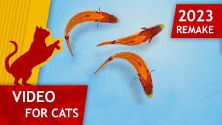 Cat Games -  Catching Fish Remake 2023 Video for Cats to watch 4K