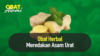 Deretan Obat Alami Ampuh Redakan Penyakit Asam Urat  Hidup Sehat tvOne