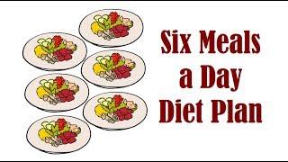 Should you Follow a Six Meals a Day Diet Plan