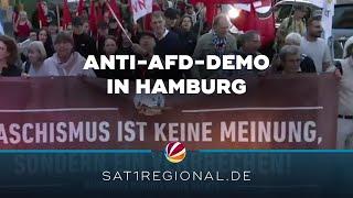 Anti-AfD-Protest in Hamburg