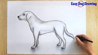 How to draw a Dog 
