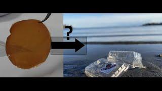 Decomposable Plastic From Trees? - New Biopolymer Films