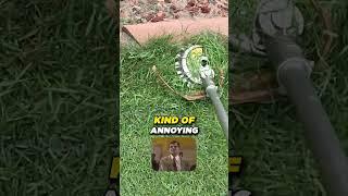 Rotary Scissors vs String Trimmer #lawncare #enjoythemow