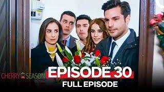 Cherry Season Episode 30 English Subtitles