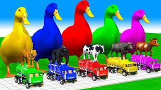 5 Giant Duck Cartoon Cow Mammoth Elephant Tiger Paint Wild Animals Crossing Fountain Animation