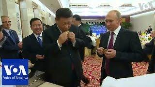 Russias Putin and Chinas Xi Jinping learn to make Chinese dumplings  VOANews