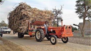 NH Ghazi 65HP Tractor  Sugarcane Haulage